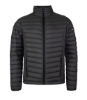 Picture of CNH PADDED JACKET MEN'S
